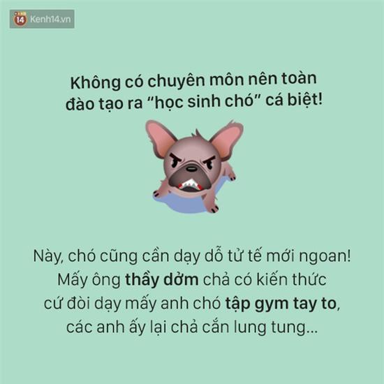 Tâm sự đầy đau khổ của một chú chó - Ảnh 10.