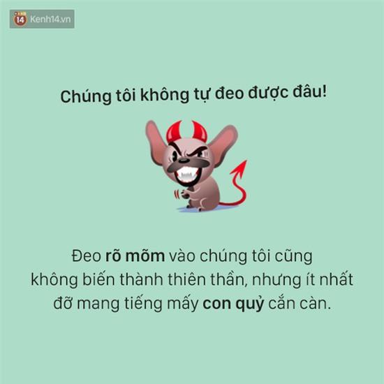 Tâm sự đầy đau khổ của một chú chó - Ảnh 11.