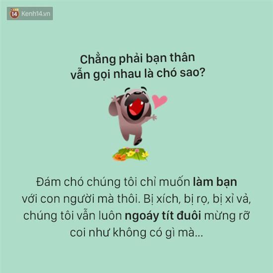 Tâm sự đầy đau khổ của một chú chó - Ảnh 12.
