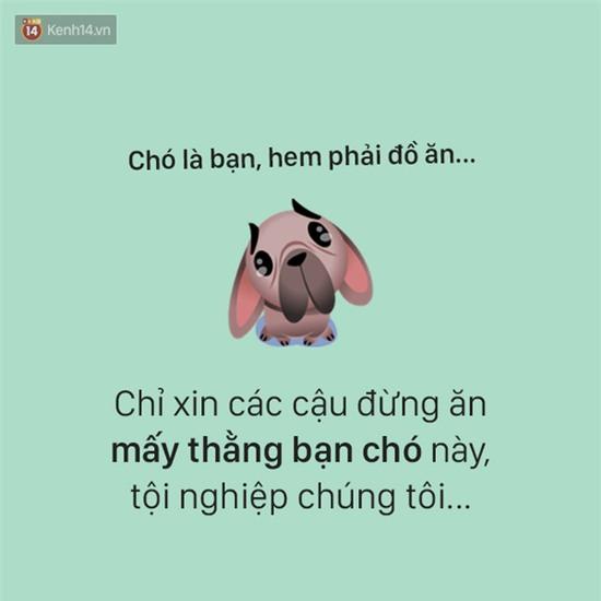 Tâm sự đầy đau khổ của một chú chó - Ảnh 13.
