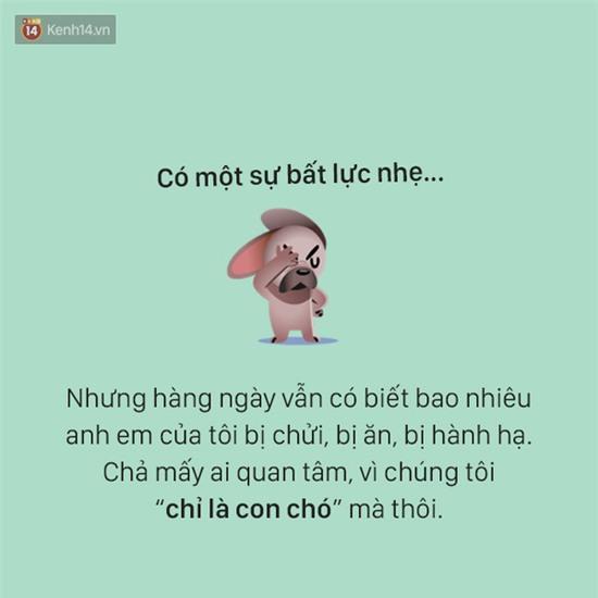 Tâm sự đầy đau khổ của một chú chó - Ảnh 14.