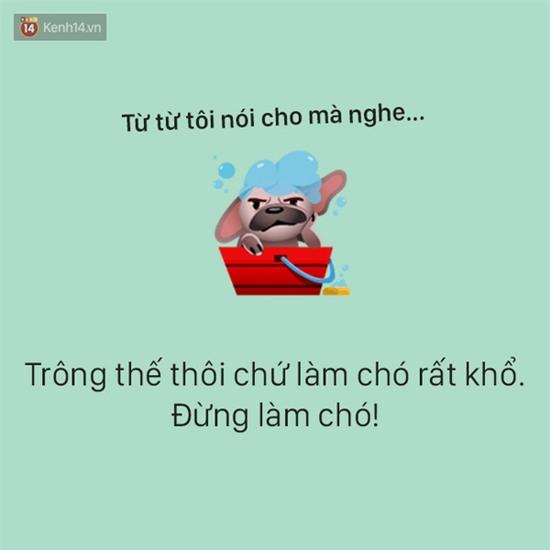 Tâm sự đầy đau khổ của một chú chó - Ảnh 2.