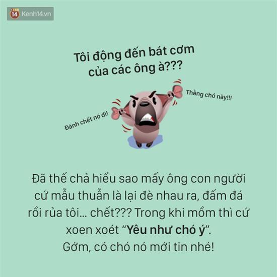 Tâm sự đầy đau khổ của một chú chó - Ảnh 5.
