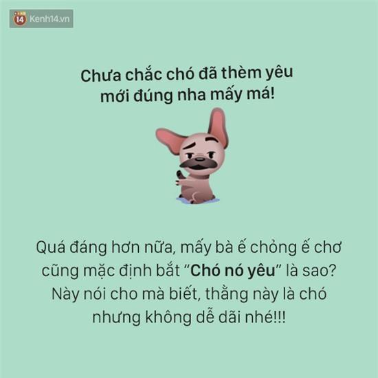 Tâm sự đầy đau khổ của một chú chó - Ảnh 6.