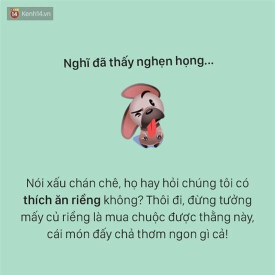 Tâm sự đầy đau khổ của một chú chó - Ảnh 7.