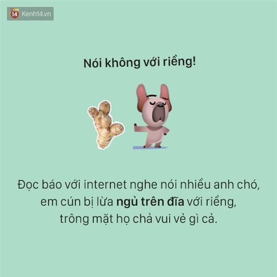 Tâm sự đầy đau khổ của một chú chó - Ảnh 8.