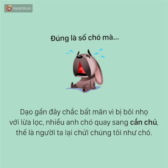 Tâm sự đầy đau khổ của một chú chó - Ảnh 9.