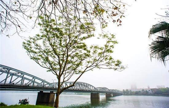 Xứ Huế huyền ảo, mộng mơ trong sương mờ