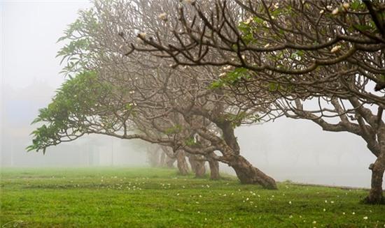 Xứ Huế huyền ảo, mộng mơ trong sương mờ