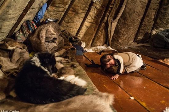 Chùm ảnh tuyệt đẹp về bộ tộc chuyên ăn thịt sống, uống máu tuần lộc - Ảnh 20.