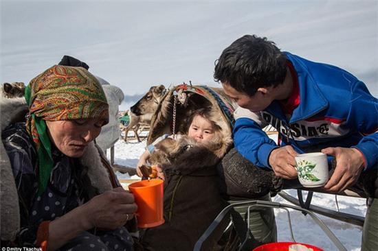 Chùm ảnh tuyệt đẹp về bộ tộc chuyên ăn thịt sống, uống máu tuần lộc - Ảnh 23.
