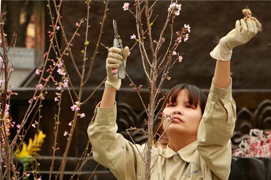 Hoa được chăm chút rất cẩn thận đến từng chi tiết nhỏ.