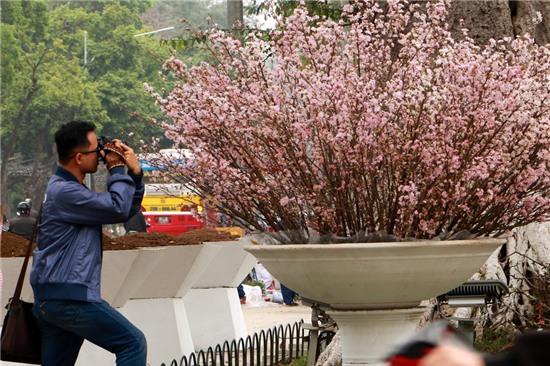 Các tay máy ghi lại những khoảnh khắc hiếm có này.