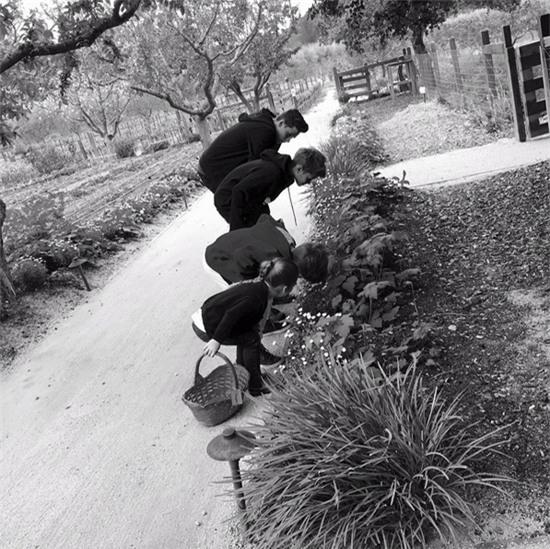 Becks thổ lộ, anh yêu Vic vì nhiều lý do nhưng lý do lớn nhất là vì cô đã cho anh 4 thiên thần nhỏ tuyệt vời.