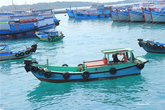 Khám phá những bí ẩn ngọt ngào trên đảo Phú Quý