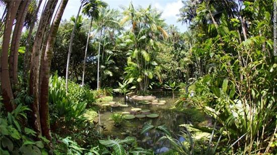 Những bức ảnh cuốn hút du khách đến Singapore