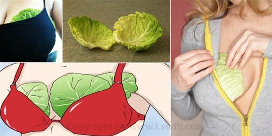 đắp lá bắp cải trước khi ngủ