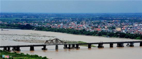 Nhung cay cau tram tuoi o Viet Nam hinh anh