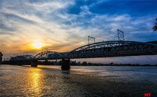 Nhung cay cau tram tuoi o Viet Nam hinh anh