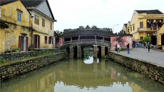 Nhung cay cau tram tuoi o Viet Nam hinh anh