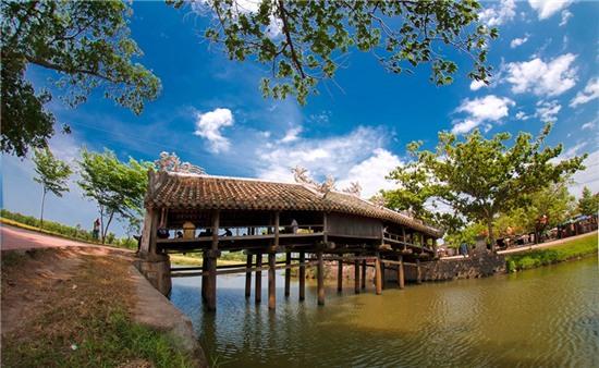 Nhung cay cau tram tuoi o Viet Nam hinh anh