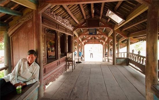 Nhung cay cau tram tuoi o Viet Nam hinh anh