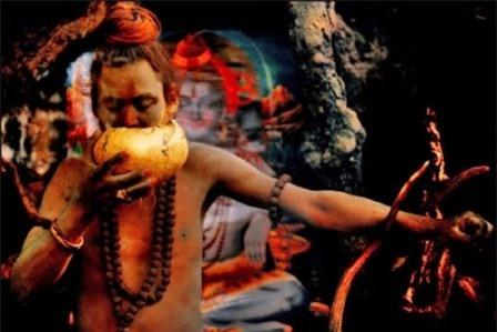 rung minh nhung bo toc an thit nguoi ghe ron hinh anh 10