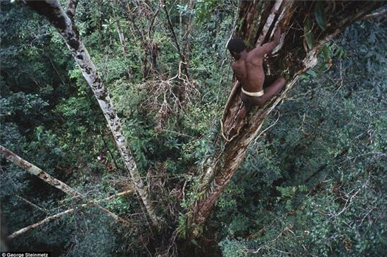 rung minh nhung bo toc an thit nguoi ghe ron hinh anh 4