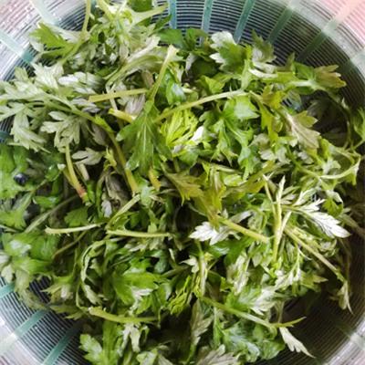 ga-tan-ngai-cuu-do-den-3