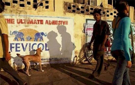 anh-danh-lua-thi-giac