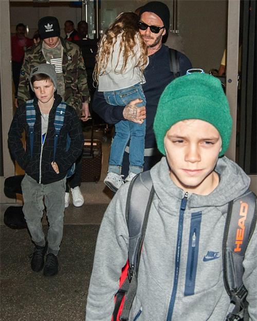 tieu-thu-harper-ngu-guc-tren-vai-bo-3