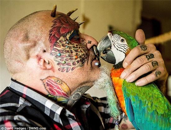 dị nhan phãu thuạt tai va luoi de hoa thành vẹt hinh anh 2