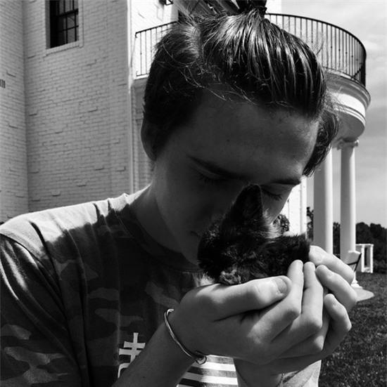 vo-chong-con-gai-ty-phu-f1-ben-nhau-don-le-phuc-sinh-6