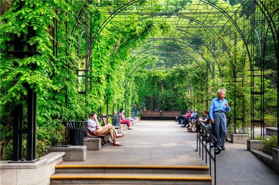 Nhung buc anh cuon hut du khach toi Thuong Hai hinh anh 7