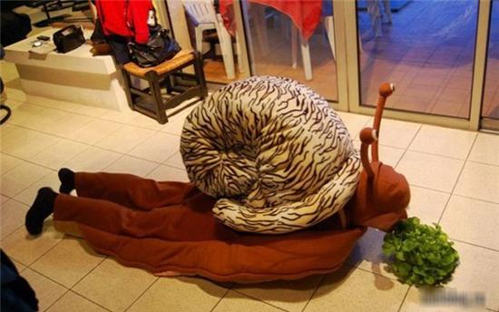 May có bó rau để ăn không thì chết đói mất.