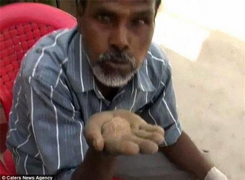 an do: nguoi dan ong an…cat suot 25 nam hinh anh 1