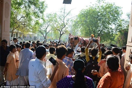 lẽ cuói xa xỉ dành cho bò ỏ án dọ hinh anh 2