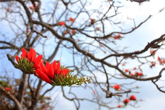 Những ngày cuối tháng ba!
