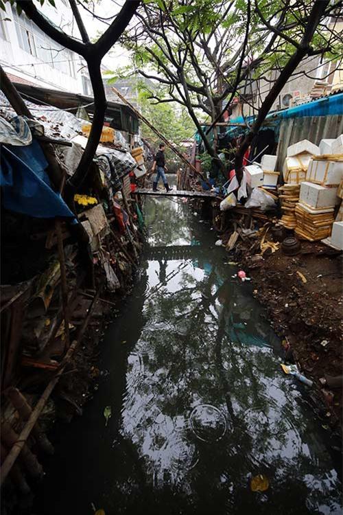 nguoi thu do 'ngat tho' song canh con muong 'chet' - 1