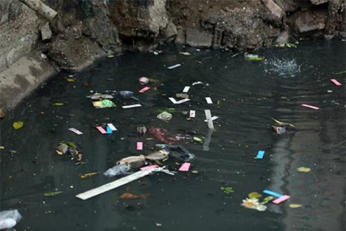 nguoi thu do 'ngat tho' song canh con muong 'chet' - 4