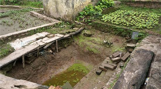 hai hung: rau xanh mon mon tren nhung nam mo giua thu do hinh anh 9