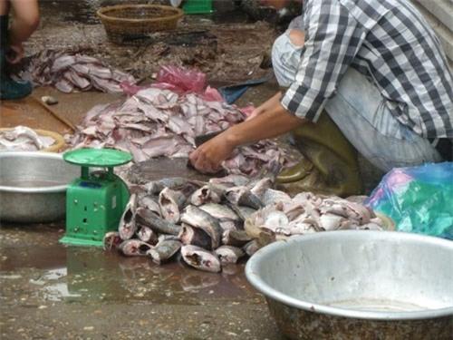 Những thương lái thoăn thoắt lọc thịt cá ế khi chợ đã vãn khách.