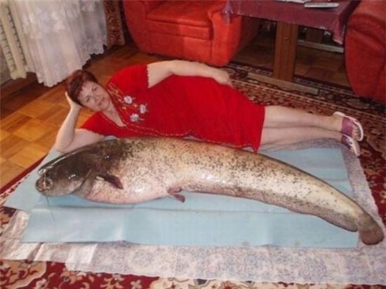 Quỳ gối trước loạt ảnh đại diện dị nhất trần đời của các công dân xứ Nga - Ảnh 10.