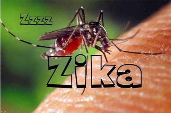 zika, virus zika