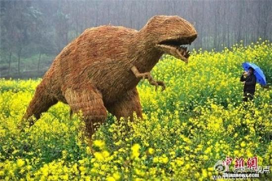 Du khách Trung Quốc đổ xô đi xem triển lãm... bù nhìn rơm - Ảnh 5.