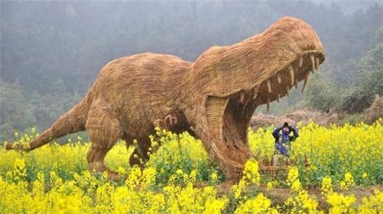 Du khách Trung Quốc đổ xô đi xem triển lãm... bù nhìn rơm - Ảnh 7.