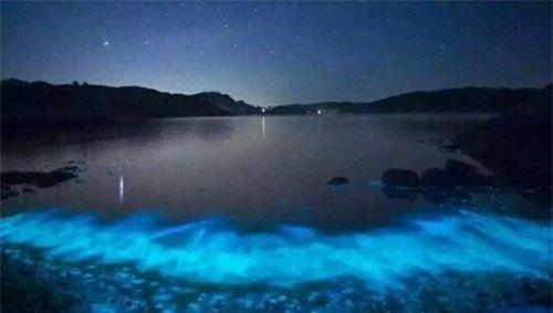 xon xao anh sang xanh ma quai xuat hien tren bo bien trung quoc hinh anh 1