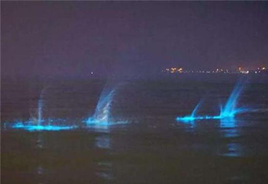 xon xao anh sang xanh ma quai xuat hien tren bo bien trung quoc hinh anh 3