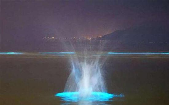 xon xao anh sang xanh ma quai xuat hien tren bo bien trung quoc hinh anh 4