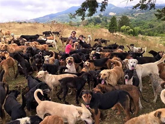 land-of-stray-dogs-territorio-de-zaguates-costa-rica-4.jpg